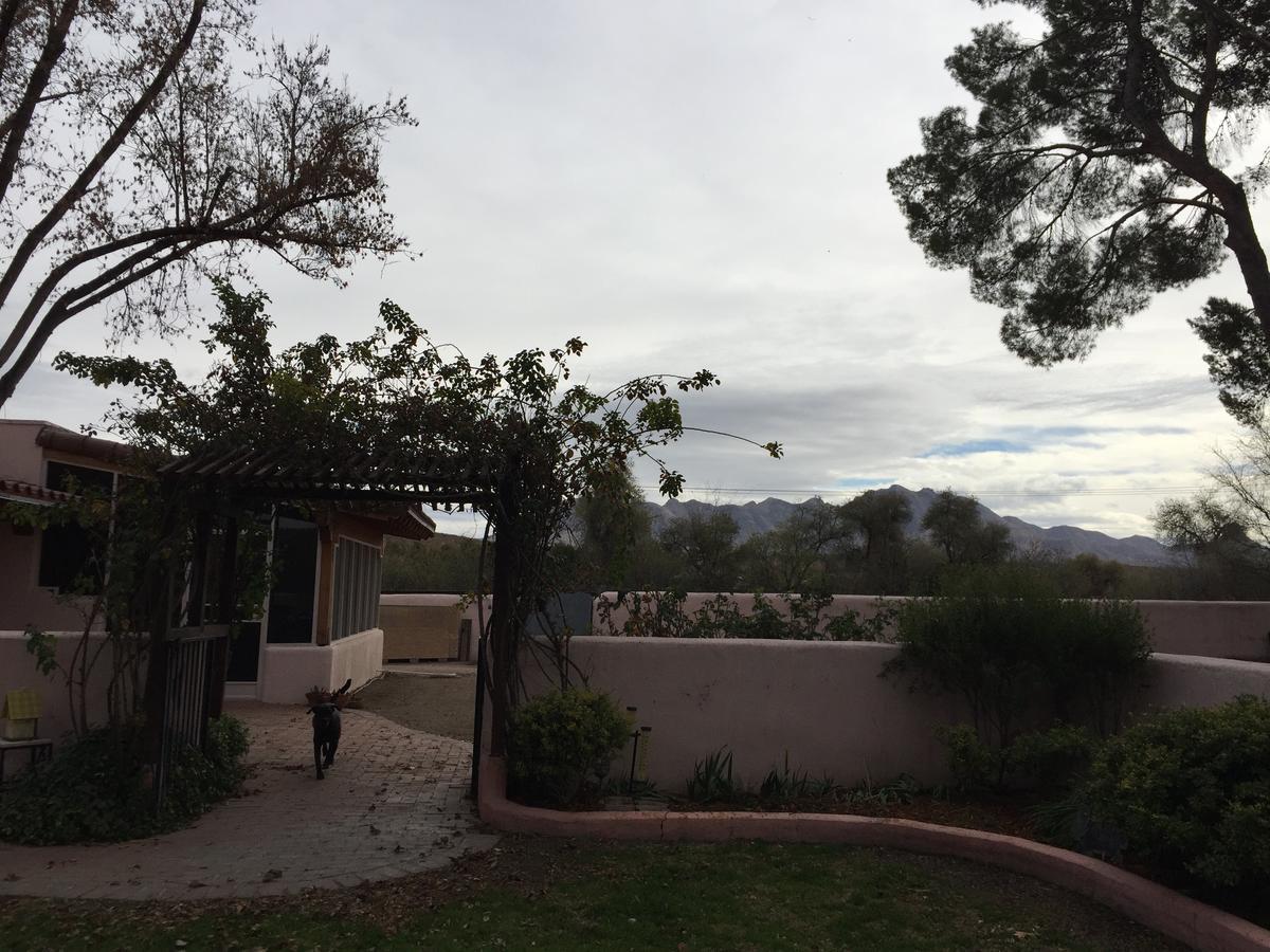 Casa Paloma B&B Tubac Kültér fotó